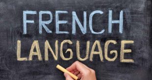 کارنامه و رتبه قبولی رشته آموزش زبان فرانسه مقطع دکتری دانشگاه سراسری