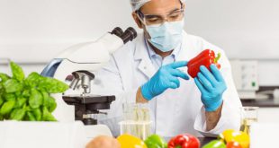 آخرین رتبه قبولی علوم و صنایع غذایی دانشگاه پردیس خودگردان (بین الملل)