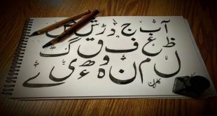 آخرین رتبه قبولی زبان و ادبیات اردو دانشگاه سراسری
