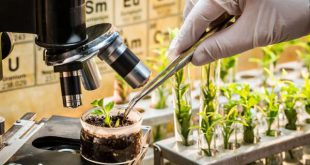 آخرین رتبه قبولی مهندسی تولید و ژنتیک گیاهی دانشگاه سراسری