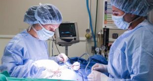 کارنامه و رتبه قبولی رشته جراحی دامپزشکی مقطع دکتری دانشگاه سراسری