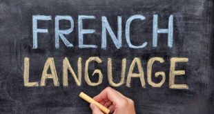 کارنامه و رتبه قبولی رشته آموزش زبان فرانسه مقطع دکتری دانشگاه آزاد